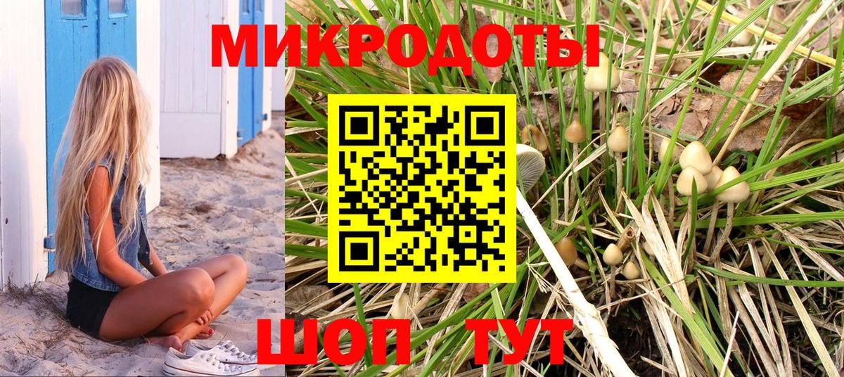 Галлюциногенные грибы Psilocybe Кудрово
