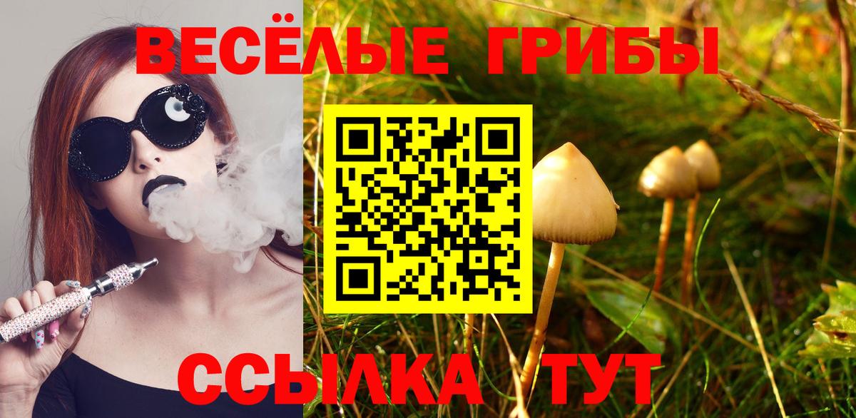 сколько стоит  Галлюциногенные грибы Cubensis  Вход с VPN  Кудрово 